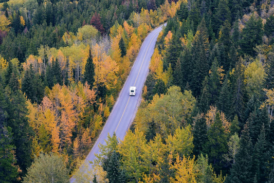 Road Trip Essentials: those must-have accessories