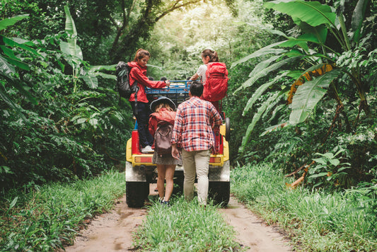 A Survivors Guide to Kids Travel